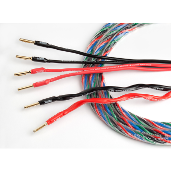 KABEL GŁOŚNIKOWY KONFEKCJONOWANY TAGA HARMONY Azure-12/14 BI-WIRE 2 x 3m